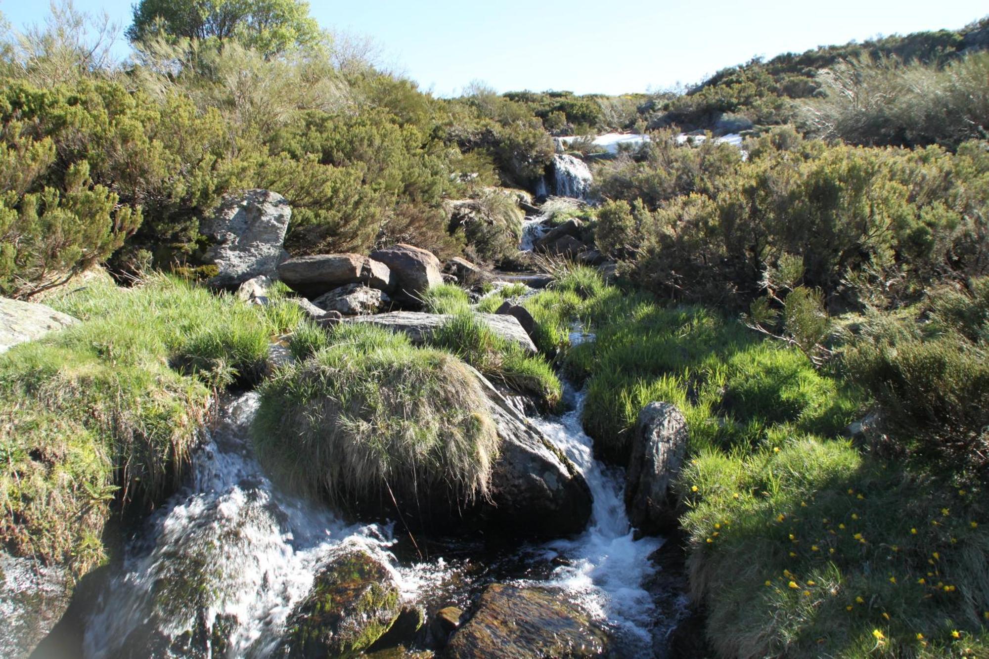 El Descanso De Sanabria Trefacio